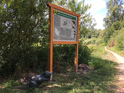 Schautafel Biberpfad, Nationalpark Hohes Elbeufer