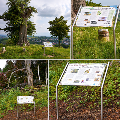 Schautafel für Pfefferer Baumkultur GmbH, Müllheim, Fotos: Johannes Weitzel Pfefferer Baumkultur GmbH, Fotos: Johannes Weitzel