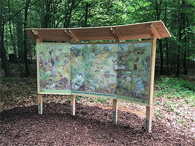 Schautafel Naturpark Westensee – Grünes Klassenzimmer Schautafel Naturpark Westensee – Grünes Klassenzimmer