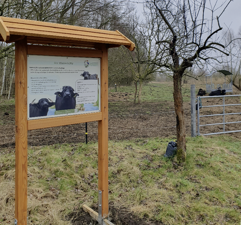 Infotafeln für die Ökoligosche Station Borna-Birkenhain