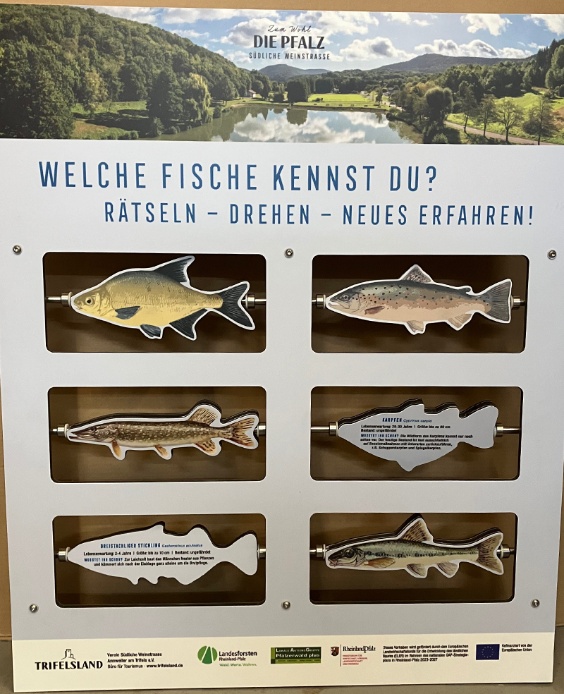 Infotafel und interaktive Elemente f&uuml;r die s&uuml;dliche Weinstra&szlig;e, Rheinland-Pfalz