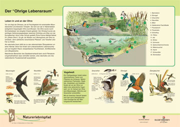 Naturlehrpfad Haldensleben Naturlehrpfad Haldensleben