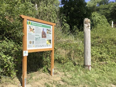 Biber Lehrpfad Schleswig-Holstein Biber Lehrpfad Schleswig-Holstein