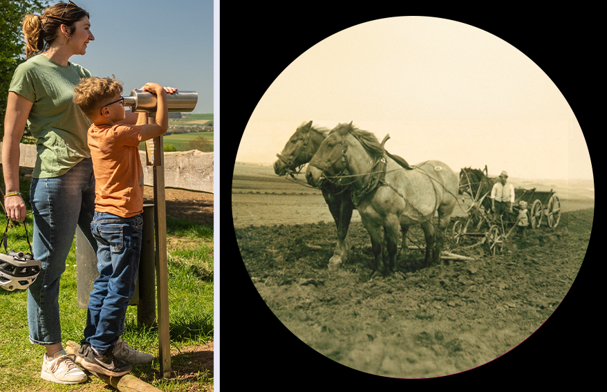 Guckrohre, gross – Interaktive Tafel-Elemente