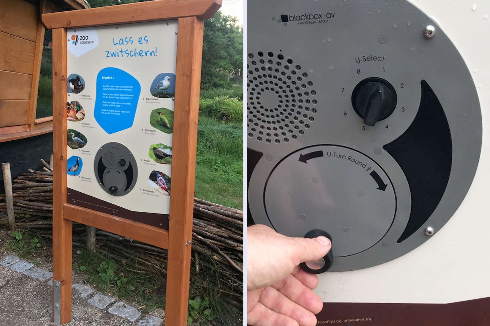 Soundmodul integriert in Schautafel, Zoo Schwerin – Interaktive Tafel-Elemente